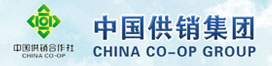 中国必赢网络游戏平台集团