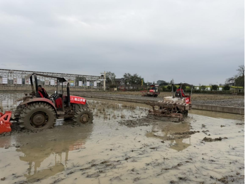 首页|必赢网络游戏平台官方网站